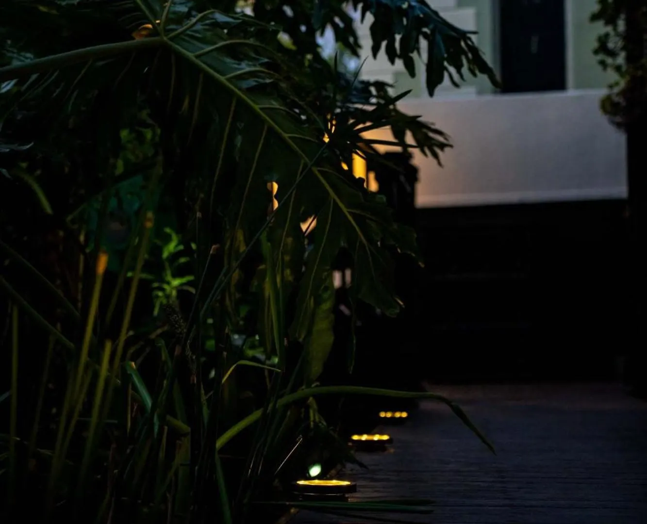 Daire Green Point'S Nest - Indulge In An Urban Oasis Cape Town